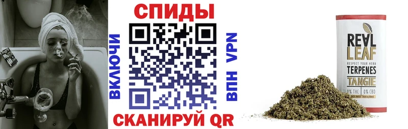 маркетплейс телеграм  МЕГА как зайти  Бутират BDO 33%  Жердевка  где купить наркоту 