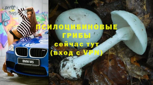 мескалин Абинск