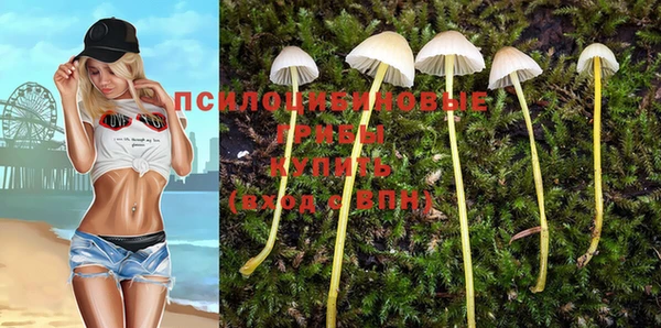 ПСИЛОЦИБИНОВЫЕ ГРИБЫ Абаза