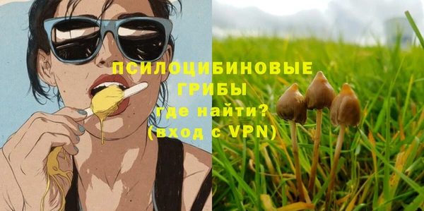 ПСИЛОЦИБИНОВЫЕ ГРИБЫ Абаза