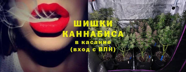 ПСИЛОЦИБИНОВЫЕ ГРИБЫ Абаза